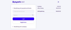 Paysafecard Zahlungsseite